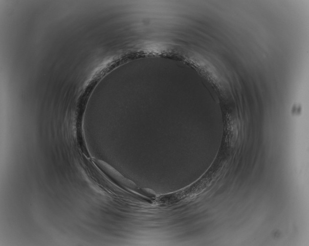 X0000097500496200802221448