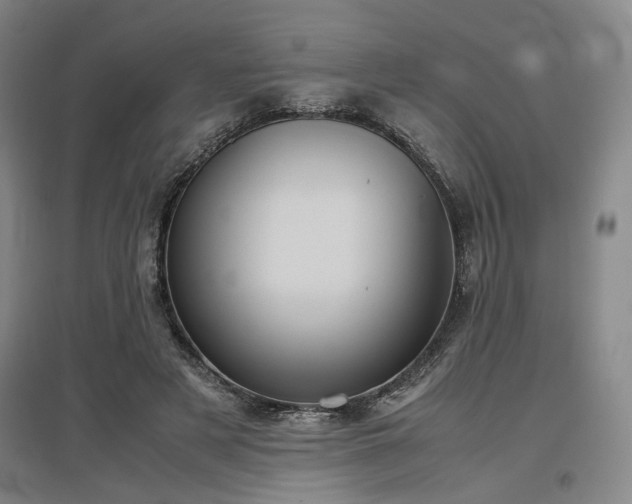X0000097500497200802221448