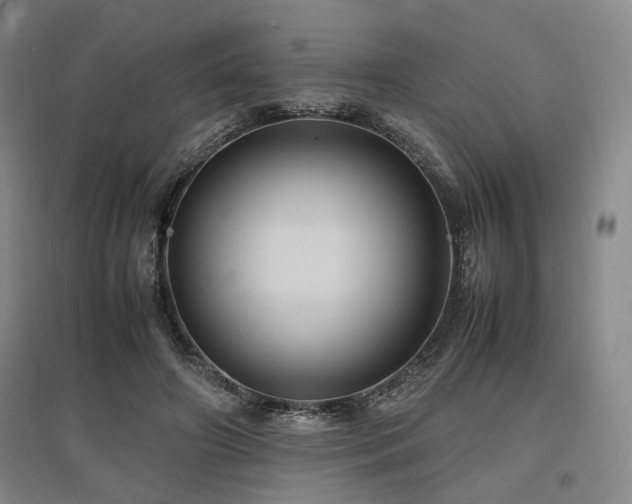 X0000097500498200802221447