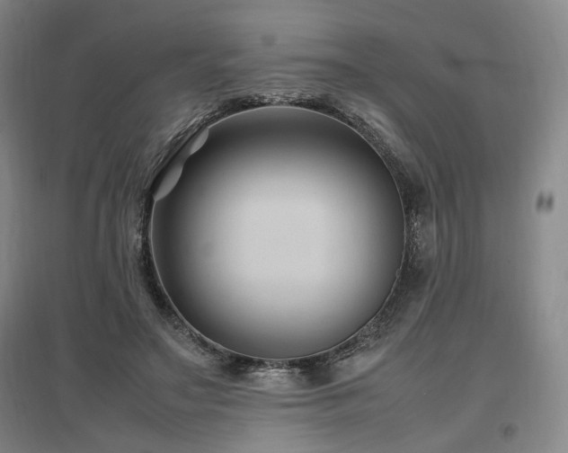 X0000097500499200802221447
