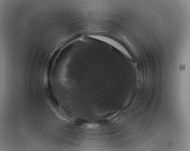 X0000097500500200802221447