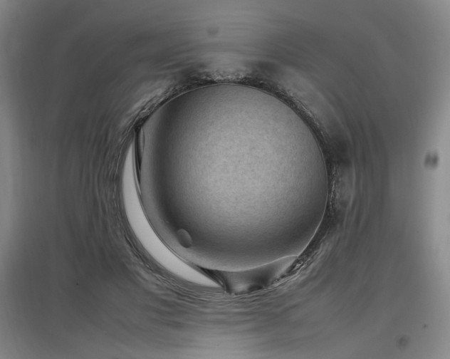 X0000097500501200802221447