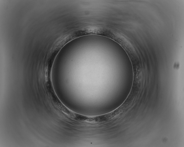 X0000097500502200802221447