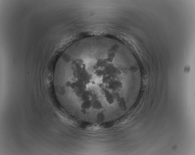 X0000097500503200802221447