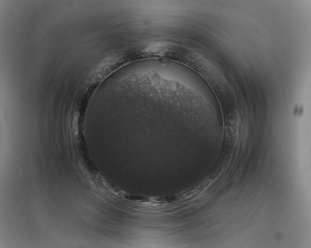 X0000097500504200802221447