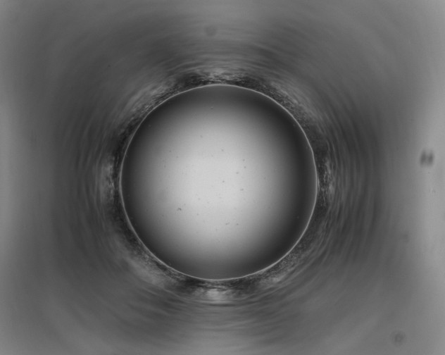 X0000097500506200802221447