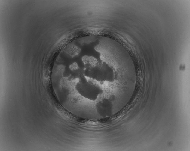 X0000097500507200802221447