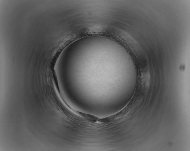 X0000097500508200802221447