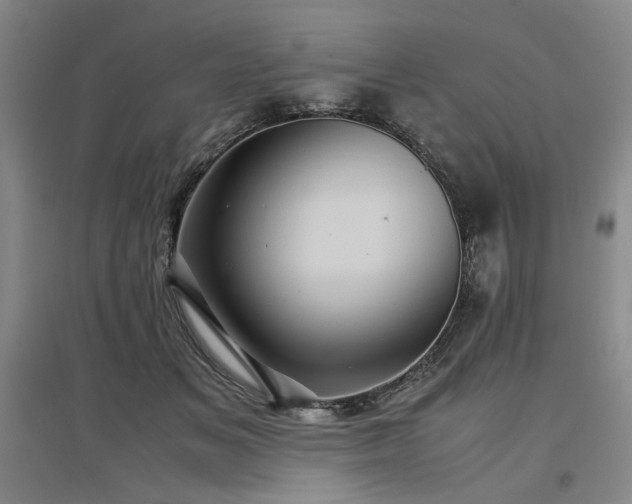 X0000097500509200802221447