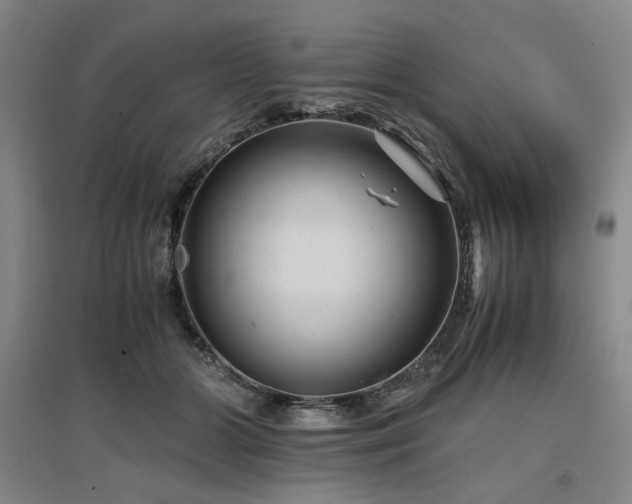 X0000097500510200802221447