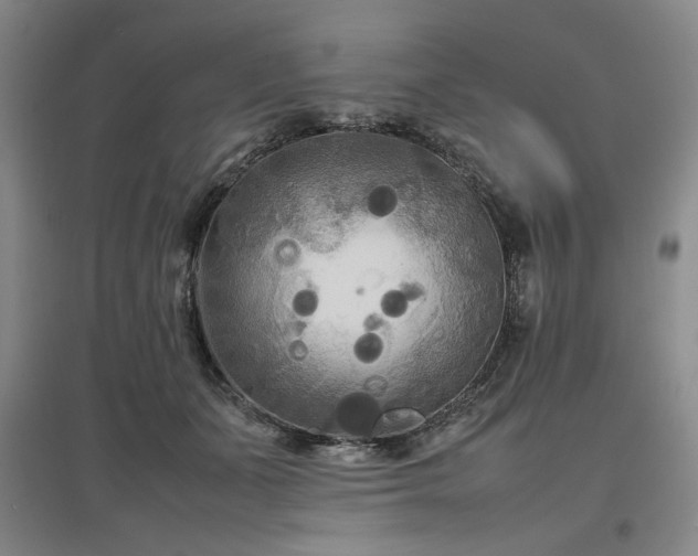 X0000097500511200802221447
