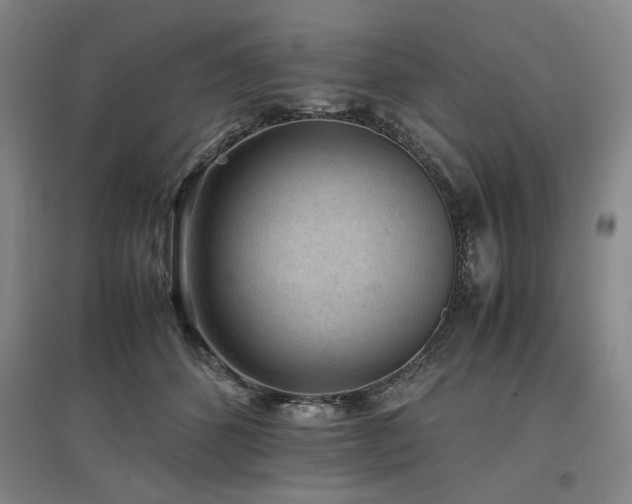 X0000097500512200802221447