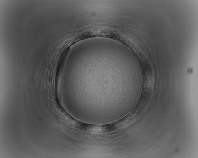 X0000097500513200802221447
