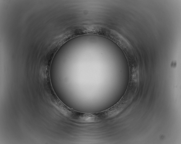 X0000097500514200802221447