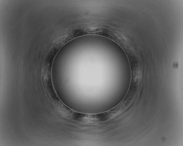 X0000097500515200802221447
