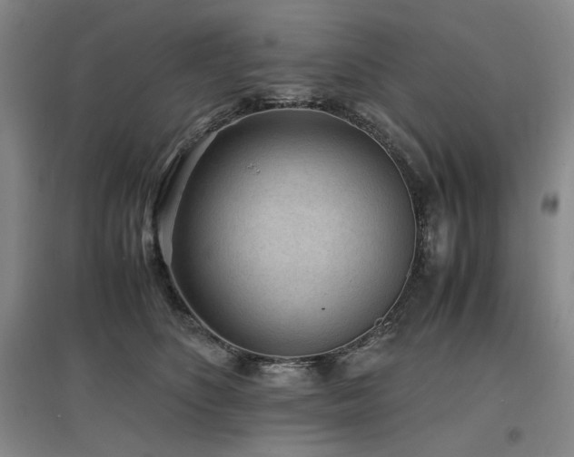 X0000097500516200802221447