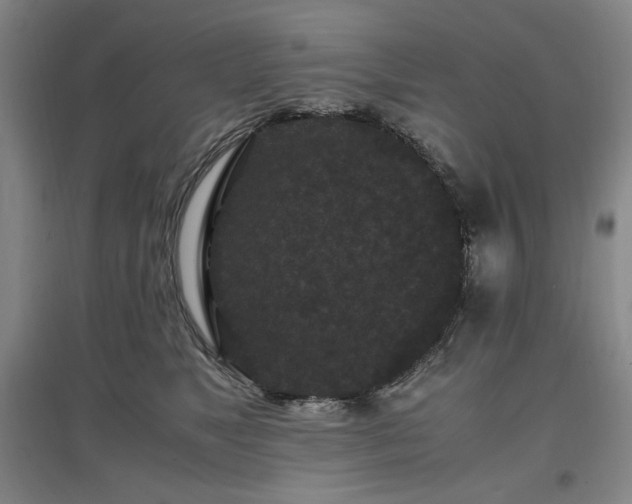X0000097500517200802221447