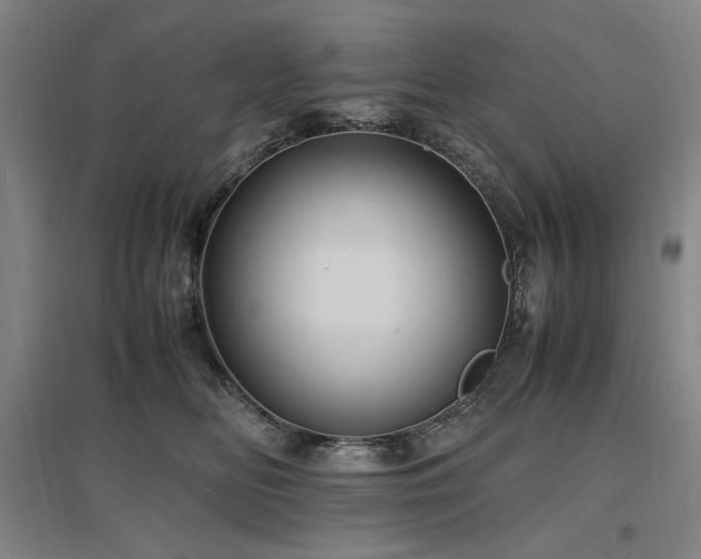 X0000097500518200802221447