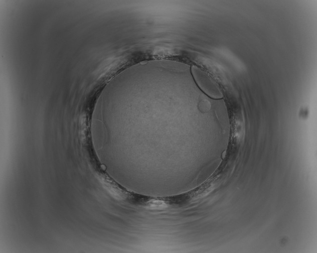 X0000097500519200802221447