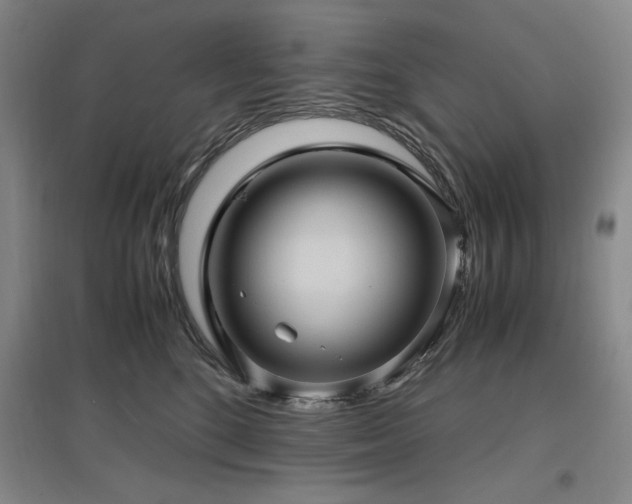 X0000097500520200802221447