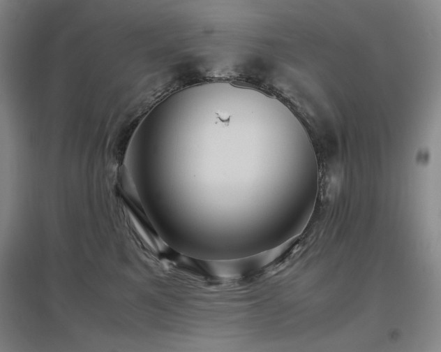 X0000097500521200802221447