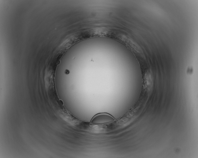 X0000097500522200802221447