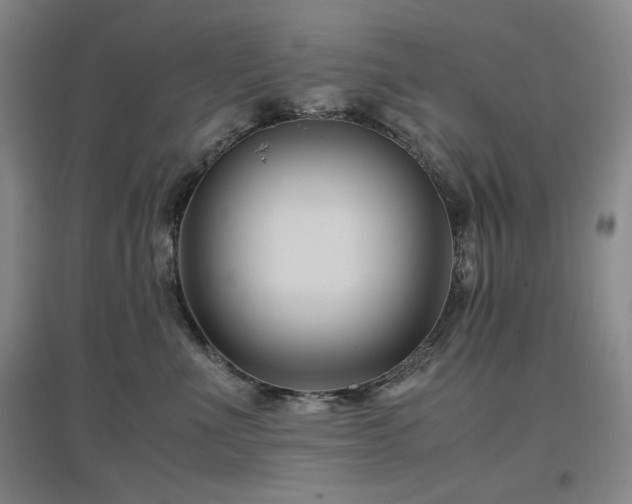 X0000097500523200802221447
