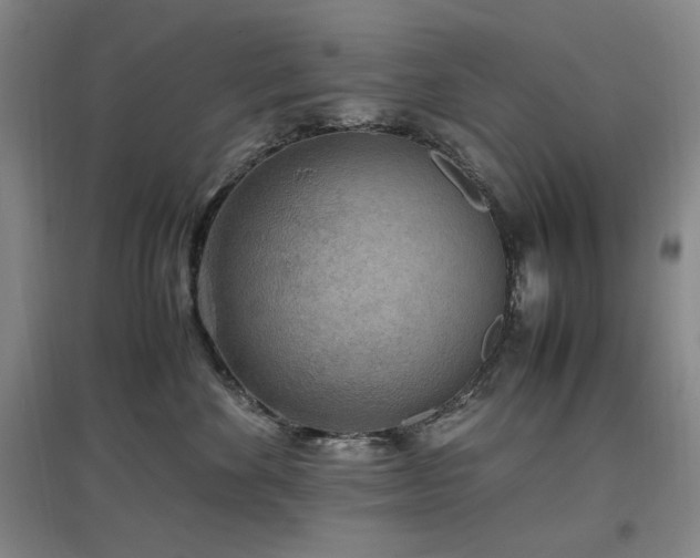 X0000097500524200802221447