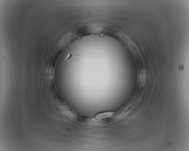 X0000097500525200802221447