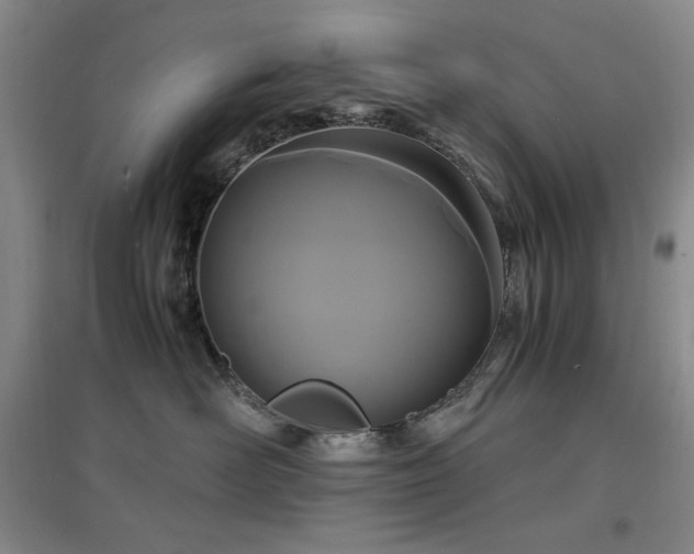 X0000097500526200802221447