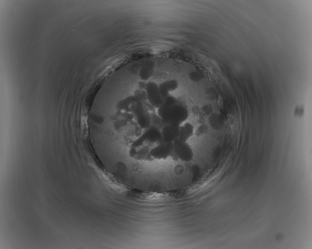 X0000097500527200802221447
