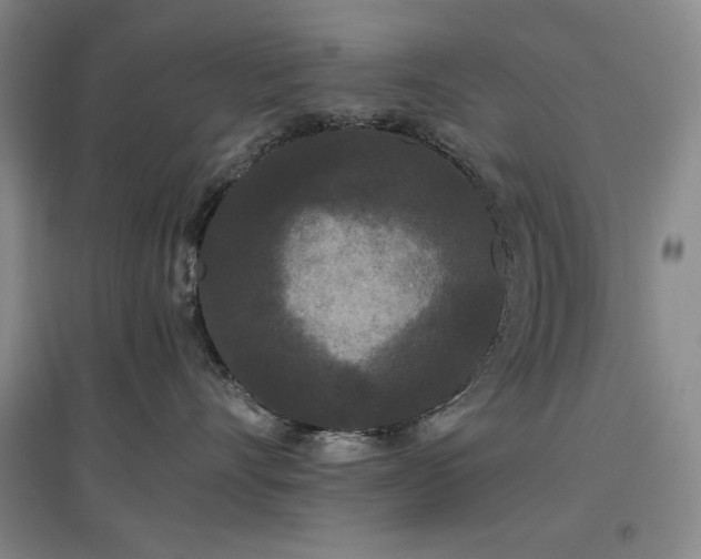 X0000097500528200802221447