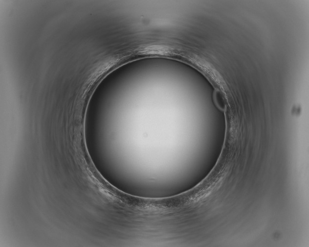 X0000097500529200802221446