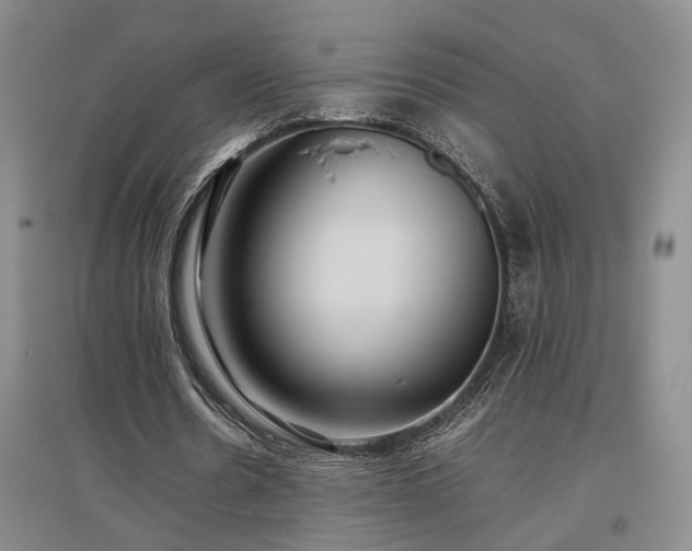 X0000097500530200802221446