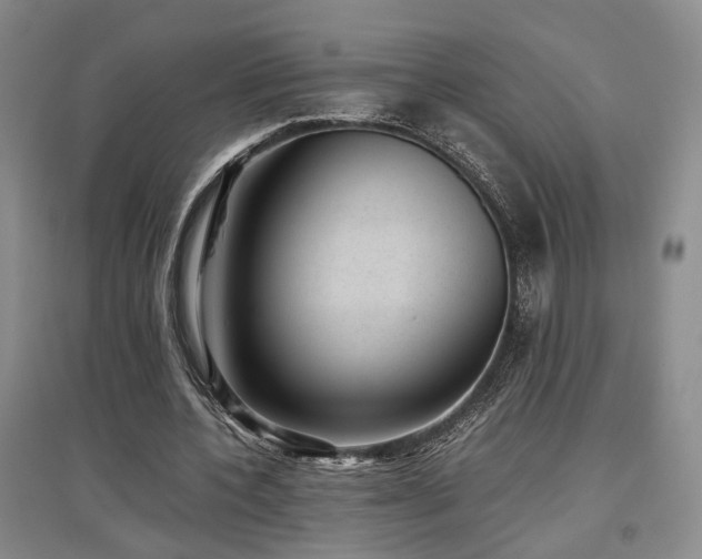 X0000097500532200802221446
