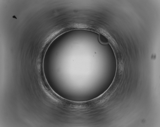 X0000097500533200802221446