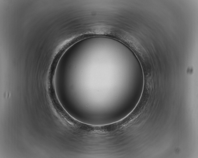 X0000097500536200802221447