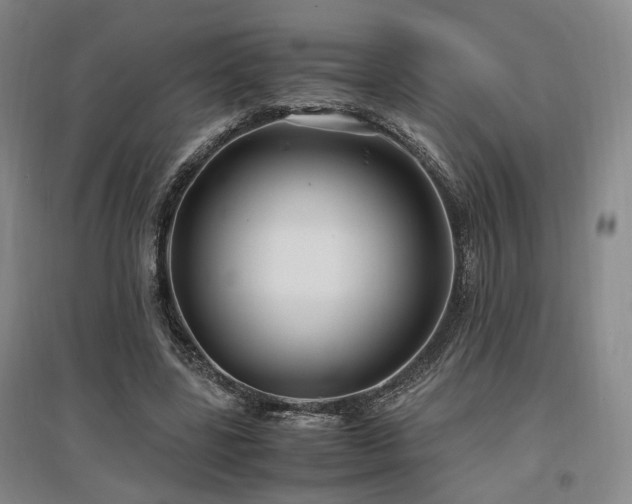X0000097500539200802221447