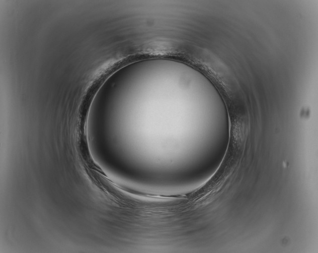 X0000097500540200802221447