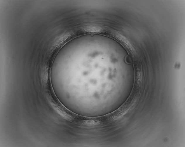 X0000097500541200802221447