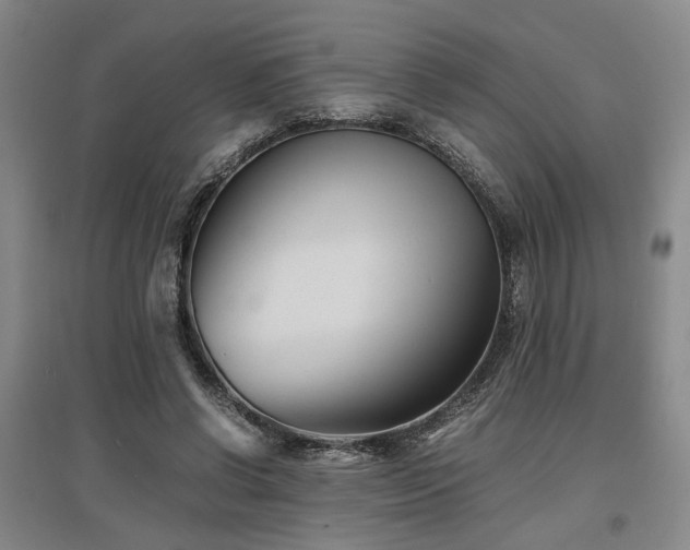 X0000097500542200802221447