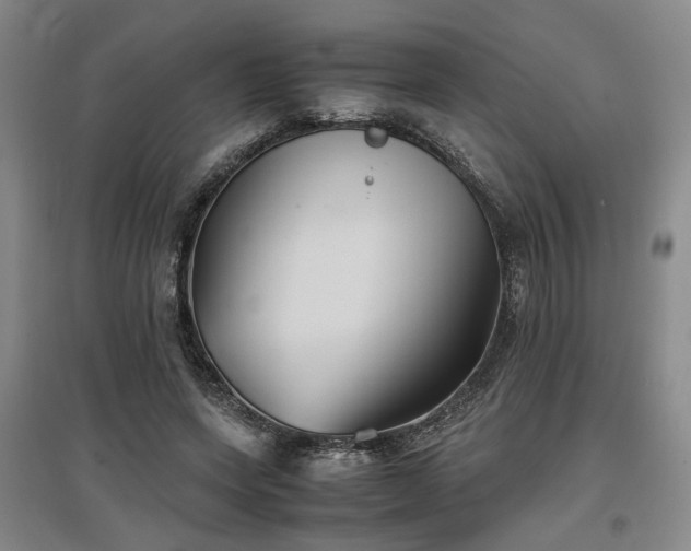 X0000097500543200802221447