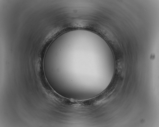 X0000097500544200802221447