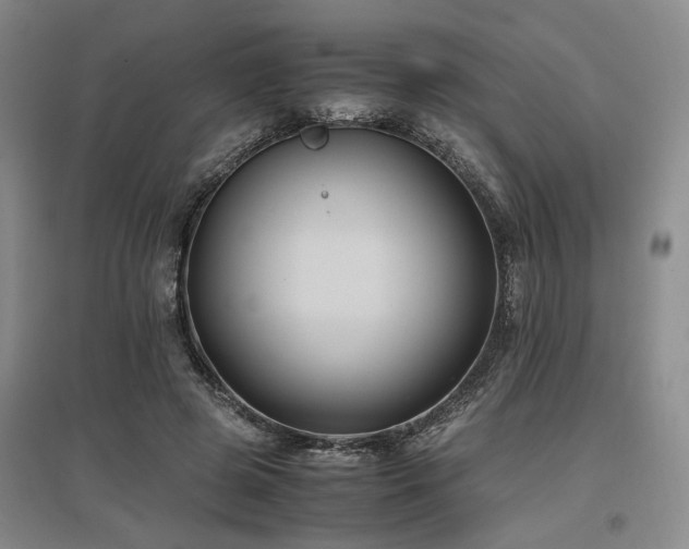 X0000097500545200802221447