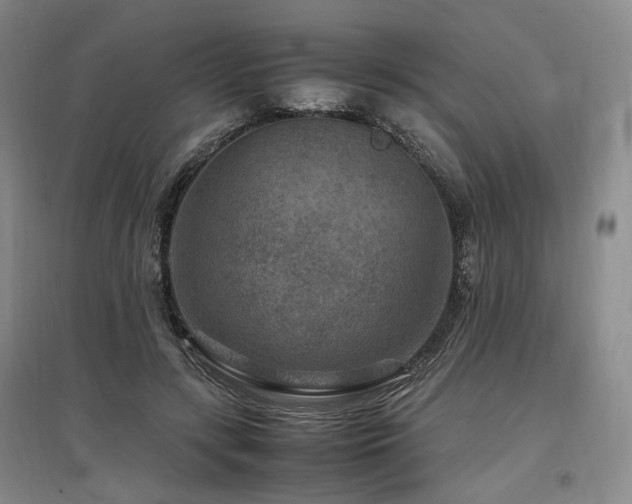 X0000097500547200802221447