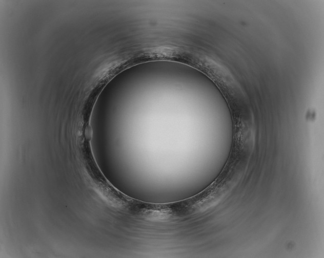 X0000097500548200802221447