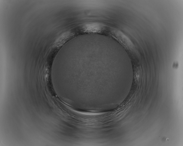 X0000097500551200802221447