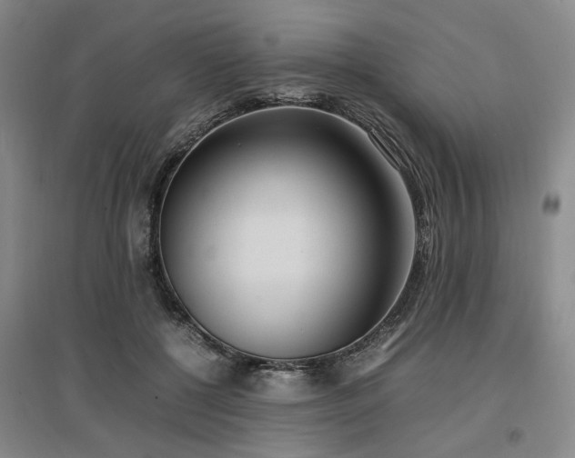 X0000097500552200802221447