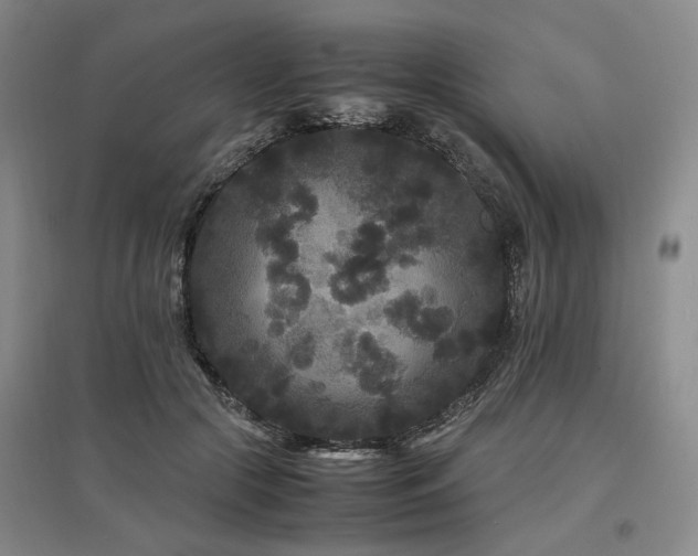 X0000097500553200802221447