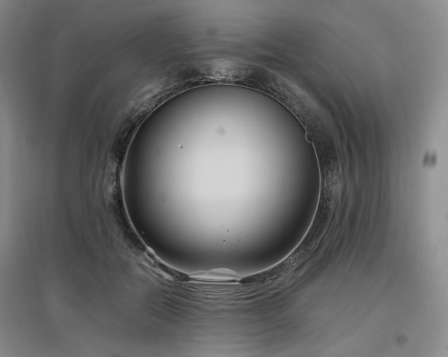 X0000097500554200802221447